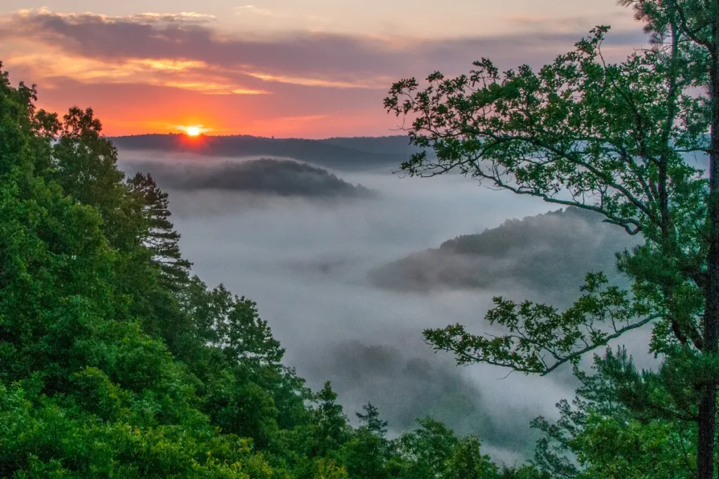 Arkansas 3PL